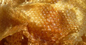 Miellerie du monteil