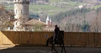 Stage Zen "Découverte du cheval" Stage Zen "Découverte du cheval"