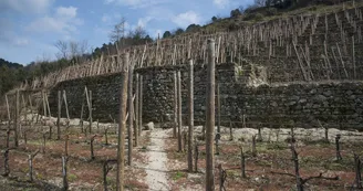 Domaine Salel et Renaud Domaine Salel et Renaud