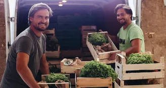 Les Frères Royé - Fruits et Légumes Bio