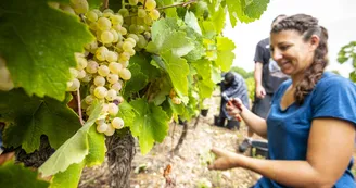 Domaine de Cassagnole