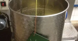Moulin à huile d'olive Froment