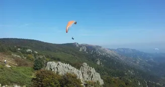 Parapente - Barbule
