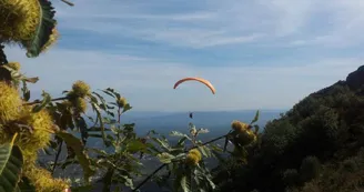 Parapente - Barbule