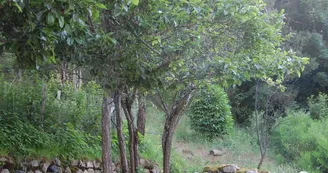 Gîte N°2 Gîte N°2