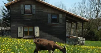 Ferme de Montmoulard - Gîte La Source Ferme de Montmoulard - Gîte La Source