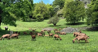 Ferme de la Louvèche