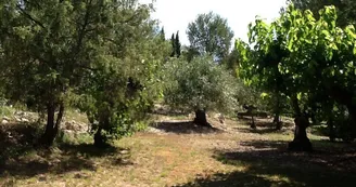La Manaudière La Manaudière