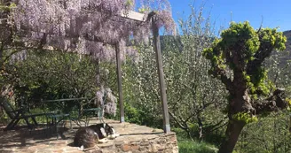 La Ferme du Fourré - Chambre paysanne "La Magnanerie" et table paysanne