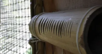 Bois des Musiciens - Indy Parc