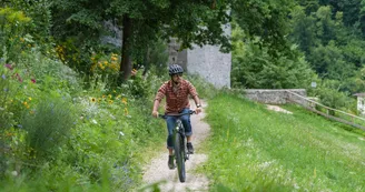 Location de VTC électrique - 1/2 journée - Face Sud