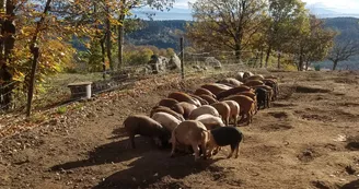 La Ferme du Chazalet - Charlotte Fleury