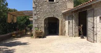 Distillerie du Bois de Païolive : Huiles essentielles et plus encore...