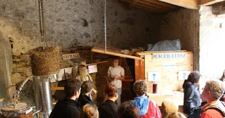 Distillerie du Bois de Païolive : Huiles essentielles et plus encore...