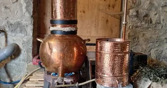 Distillerie du Bois de Païolive : Huiles essentielles et plus encore...