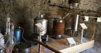 Distillerie du Bois de Païolive : Huiles essentielles et plus encore...