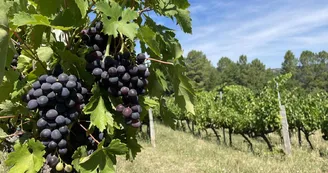 Domaine La Clef du Bonheur Domaine La Clef du Bonheur