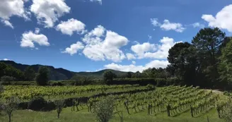 Domaine La Clef du Bonheur Domaine La Clef du Bonheur