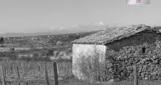 Mas de Vinobre