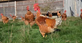 La ferme de Cagnard La ferme de Cagnard