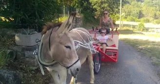 Balade en escargoline avec Carab'Âne Balade en escargoline avec Carab'Âne