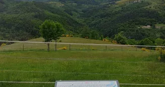Lamas de là-bas - Balades ludiques et pédagogiques