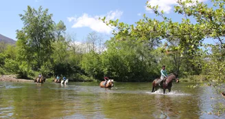 Balade en famille - Ferme Equestre le Foussac