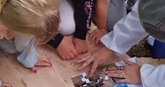 Escape Game enfant : Le druide
