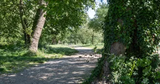 Aire de loisirs d'Ucel
