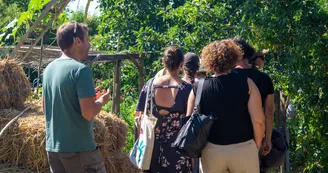 Escape Game Nature "En quête de l'Oasis du Vivant"