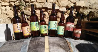 Brasserie Beerserk