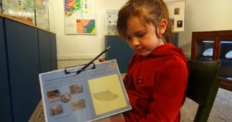 4 parcours ludiques en famille : Chasse au trésor et parcours-jeux au Musée des Vans