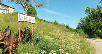 Ferme de la Blache Ferme de la Blache