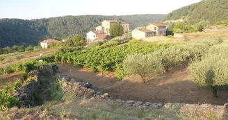 Butinez en famille - Randoland Ribes Butinez en famille - Randoland Ribes