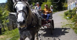 Balade en calèche