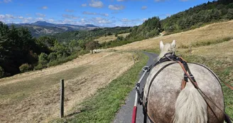 Balade en calèche