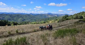 Balade en calèche