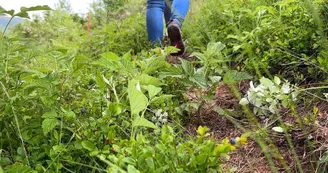 La Ferme des Plaisirs Simples