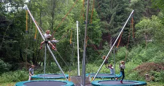 Parcours aventure : La Forêt Magique Parcours aventure : La Forêt Magique