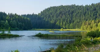 Le lac de lispach Le lac de lispach
