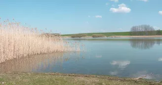 Espace naturel sensible de l’étang de parroy