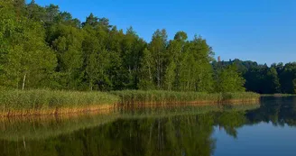 L'étang de Hanau L'étang de Hanau
