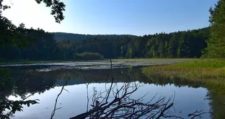 Étang de Waldeck - réserve naturelle Étang de Waldeck - réserve naturelle