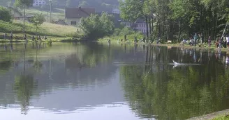 Étang du Faing
