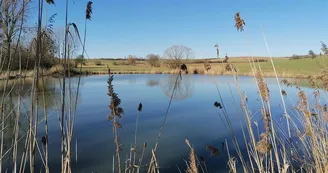 Marais de Vittoncourt