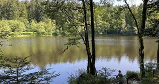 Étang du Villerain Étang du Villerain