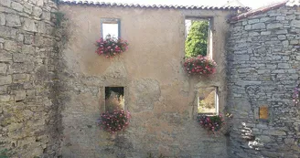Les dada tours