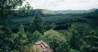 Réserve naturelle des rochers et tourbières du pays de Bitche