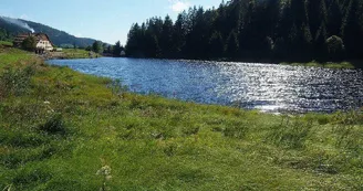 Les tourbières de Lispach et de la Ténine à La Bresse