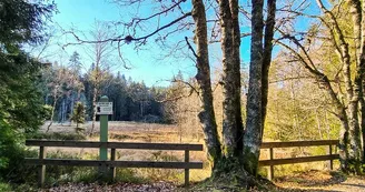La tourbière du haut de Mérelle La tourbière du haut de Mérelle